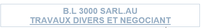 B.L 3000 SARL.AU
